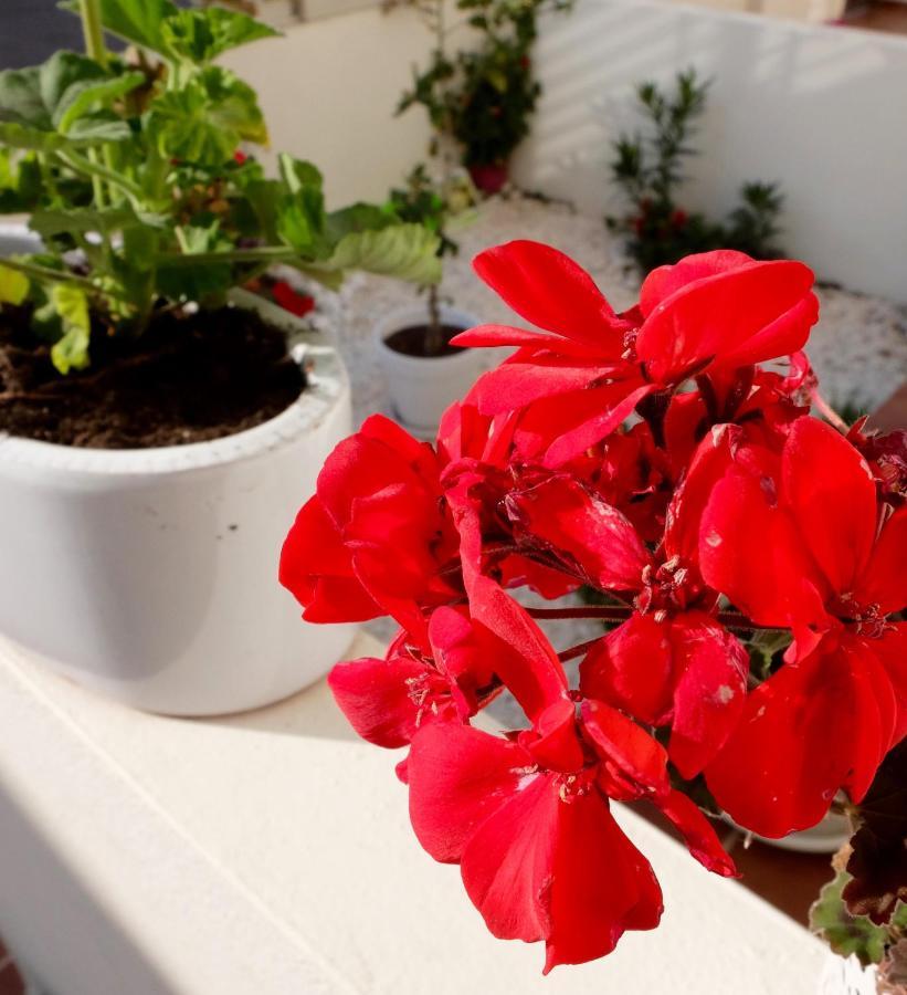 B&B Casa Louisa, Torre Del Mar- Valleniza ベレス エクステリア 写真