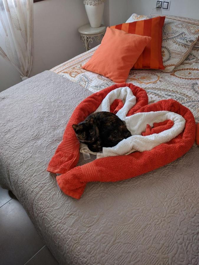 B&B Casa Louisa, Torre Del Mar- Valleniza ベレス エクステリア 写真
